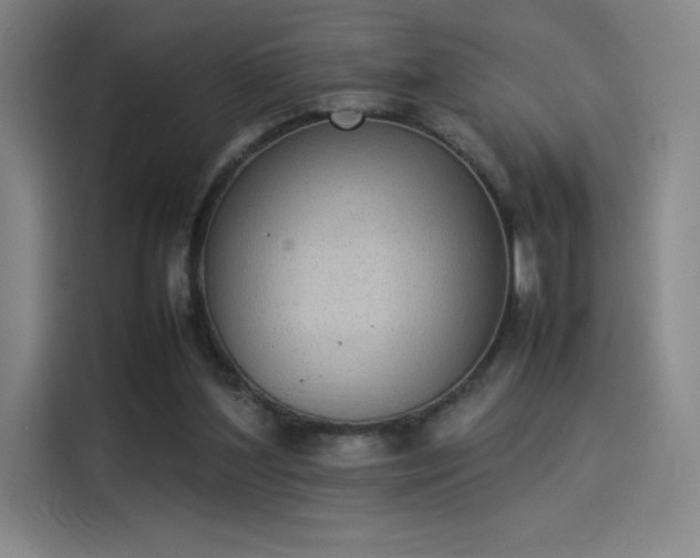 X0000114220204200910161314