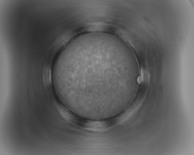 X0000114220205200910161314