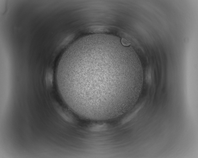 X0000114220206200910161314