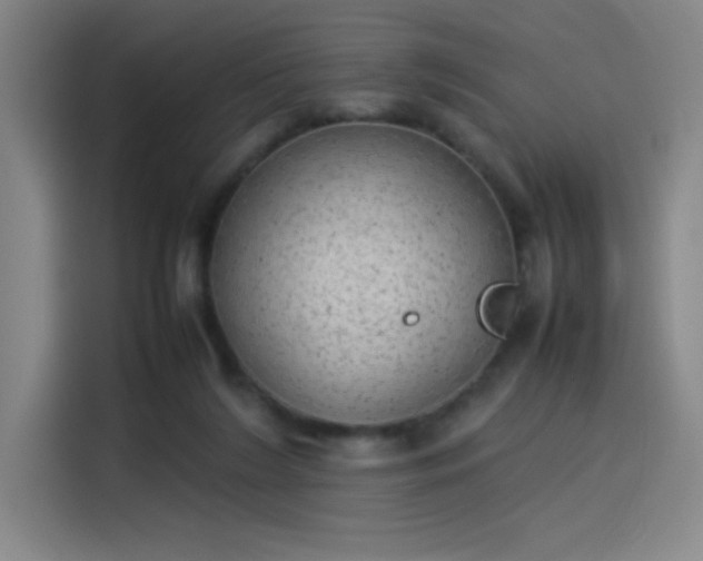 X0000114220212200910161314