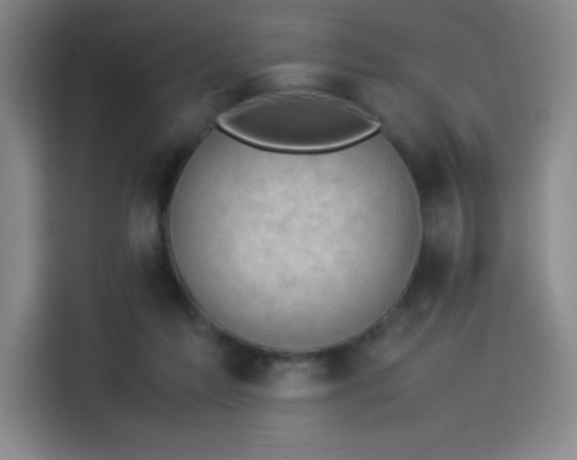 X0000114220213200910161314