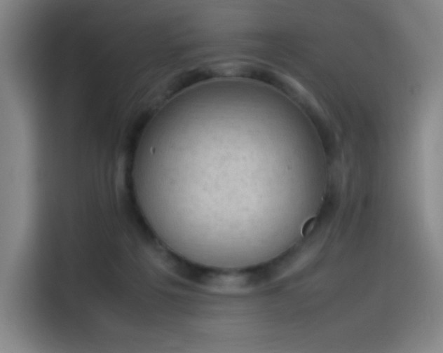 X0000114220217200910161314