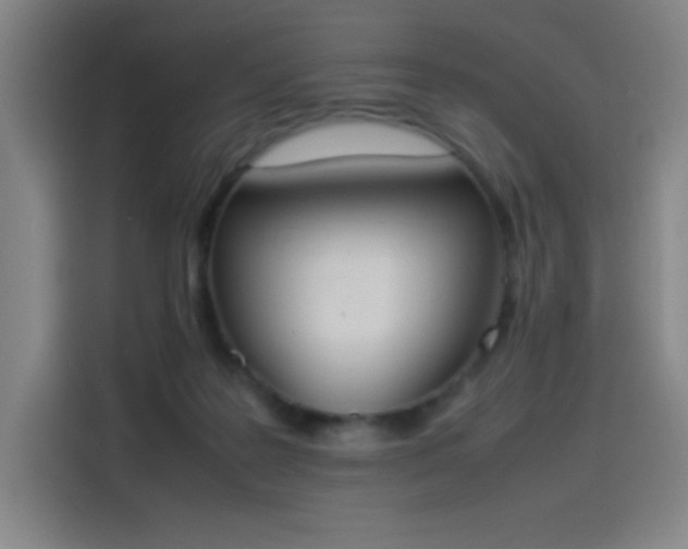 X0000114220219200910161314