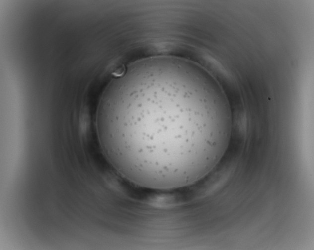 X0000114220220200910161314