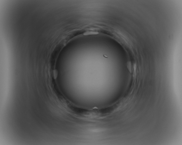 X0000114220223200910161314