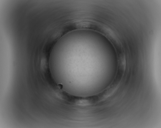 X0000114220224200910161314