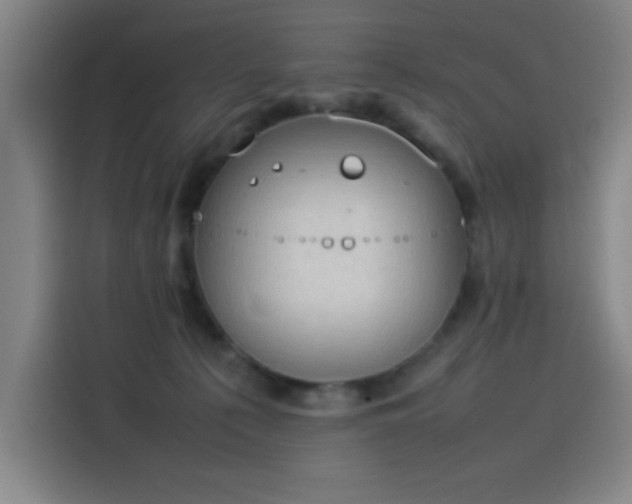 X0000114220225200910161314