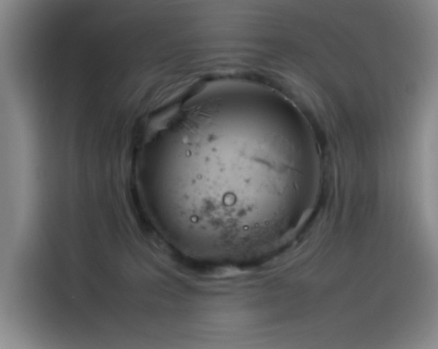 X0000114220227200910161314