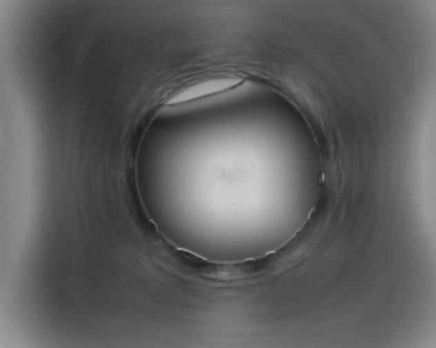 X0000114220229200910161314