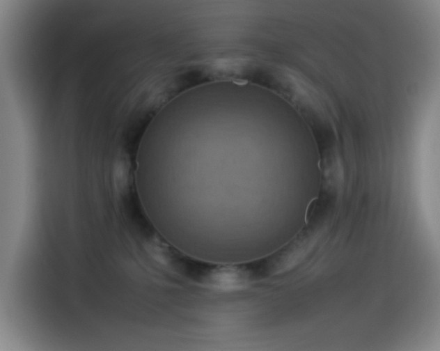 X0000114220231200910161314