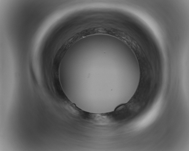 X0000114220239200910161314