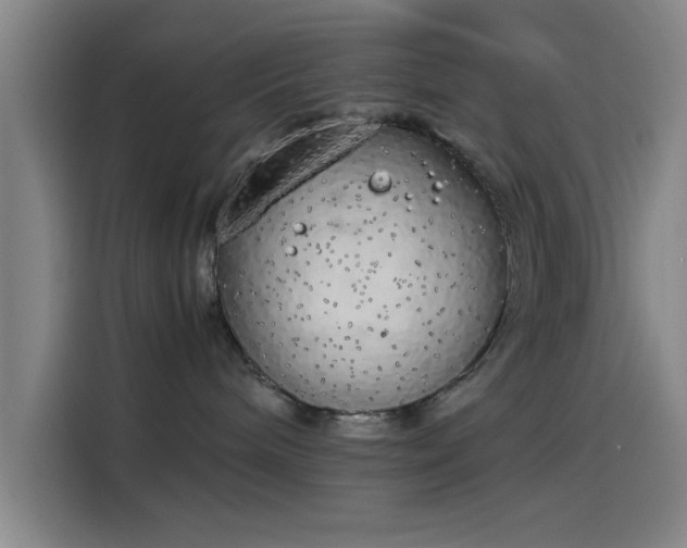 X0000114220240200910161314