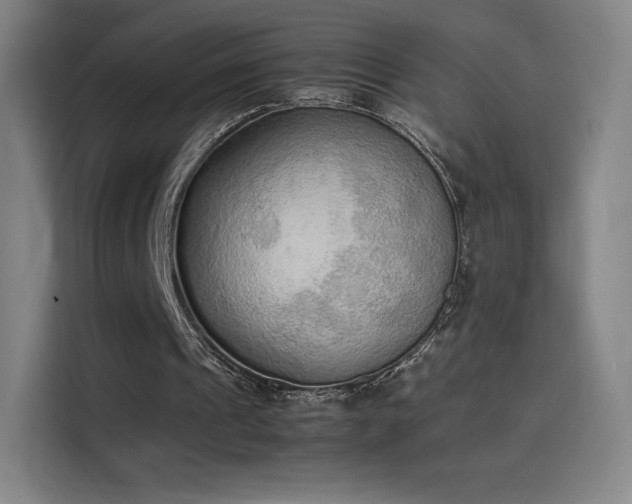 X0000114220241200910161313