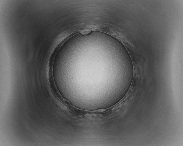 X0000114220242200910161313