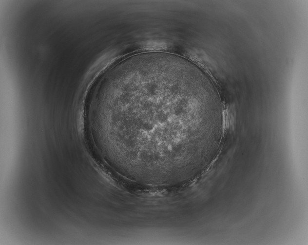 X0000114220243200910161313