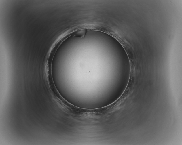 X0000114220244200910161313