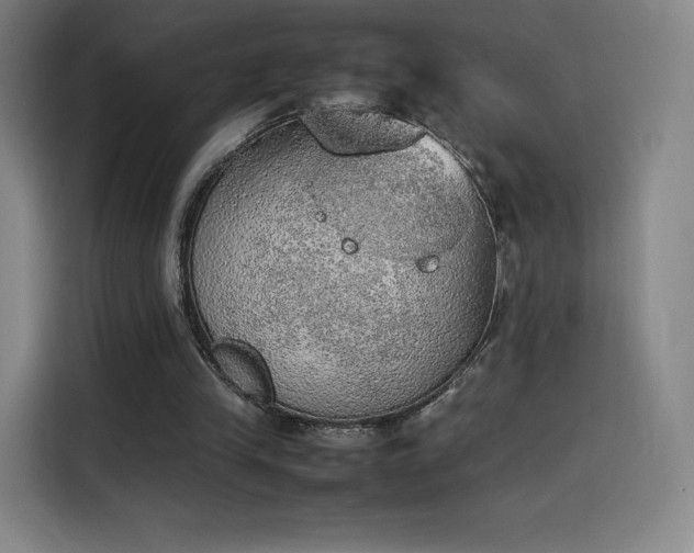 X0000114220245200910161313