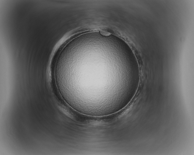 X0000114220246200910161313