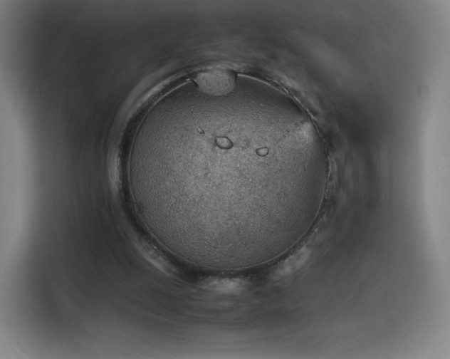 X0000114220247200910161313