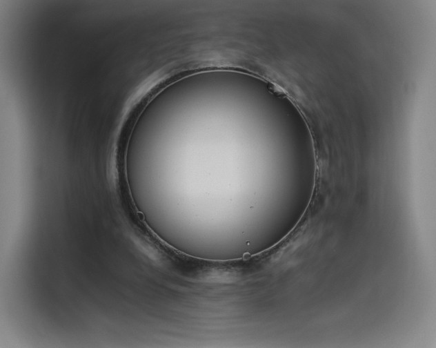 X0000114220248200910161313