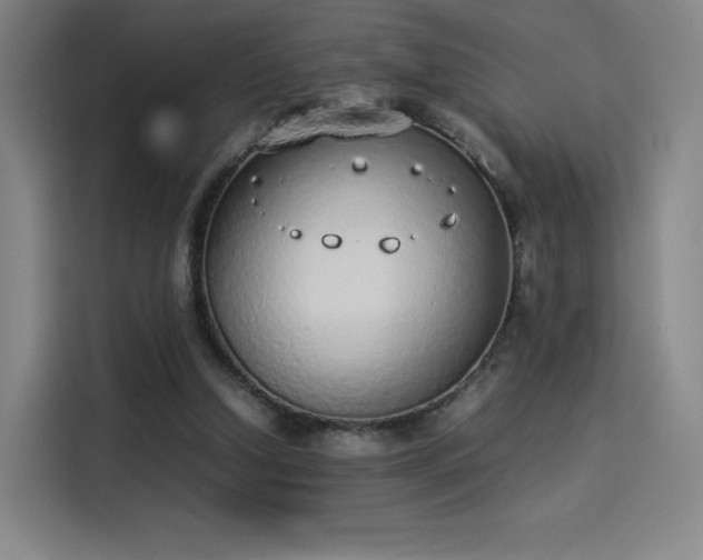 X0000114220250200910161313