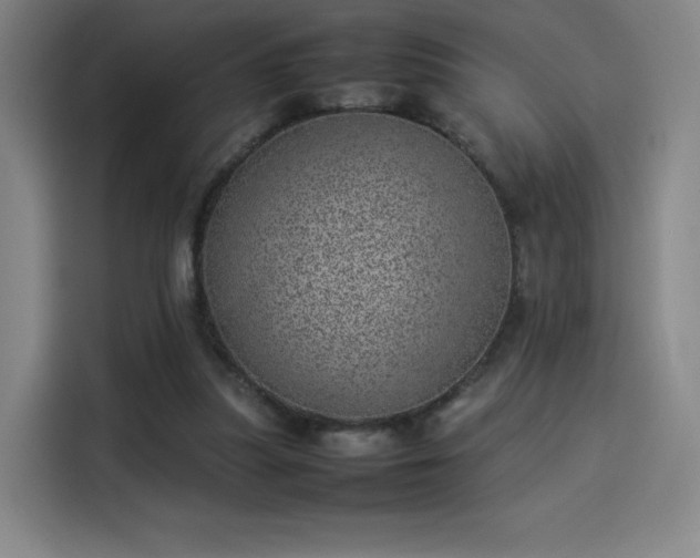 X0000114220251200910161313