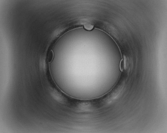 X0000114220252200910161313