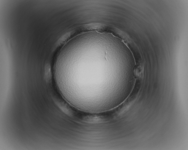 X0000114220254200910161313