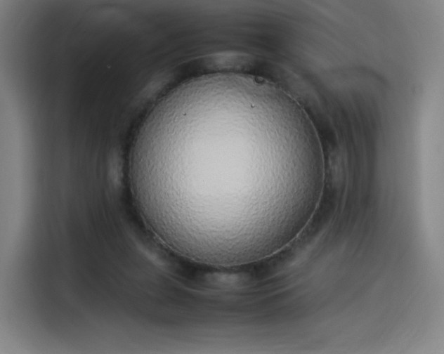 X0000114220255200910161313