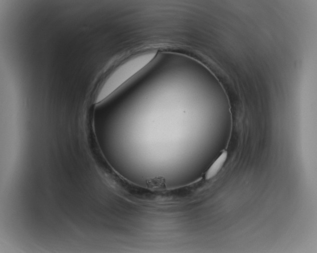 X0000114220256200910161313