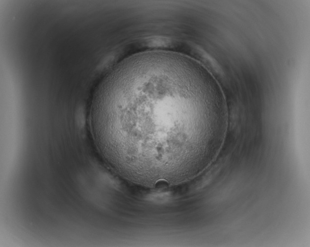 X0000114220257200910161313