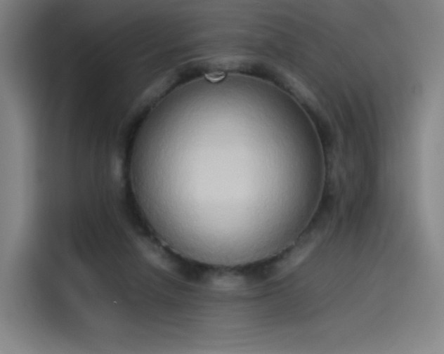 X0000114220258200910161313