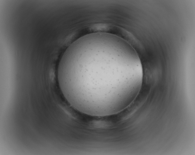 X0000114220259200910161313