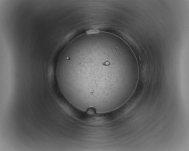 X0000114220260200910161313