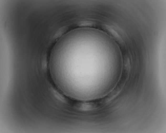 X0000114220261200910161313