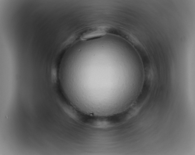 X0000114220262200910161313