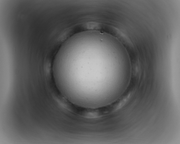 X0000114220263200910161313