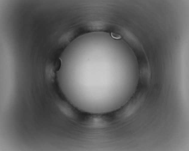 X0000114220264200910161313