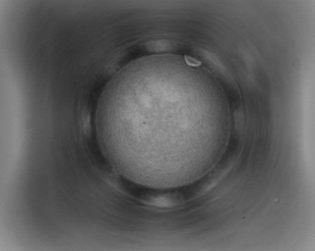 X0000114220267200910161313