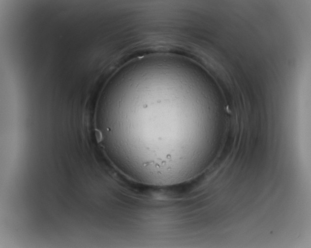 X0000114220268200910161313