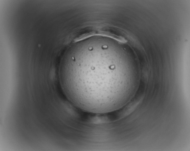 X0000114220270200910161313