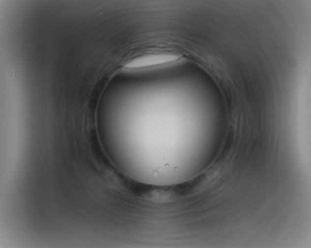 X0000114220272200910161313