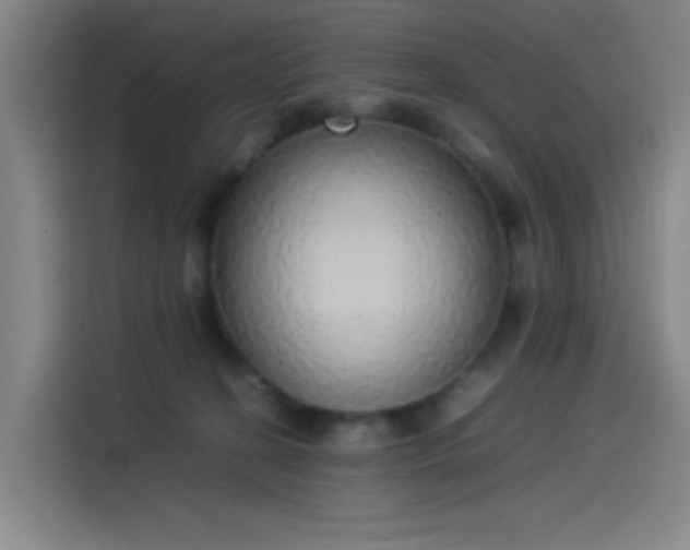 X0000114220274200910161313