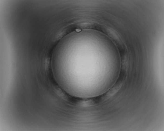 X0000114220278200910161313