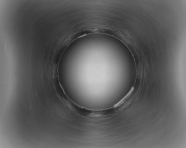 X0000114220280200910161313