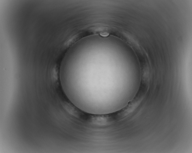 X0000114220282200910161313