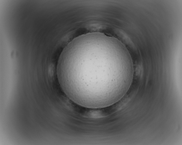 X0000114220283200910161313