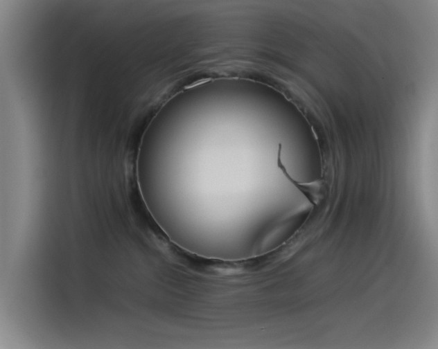 X0000114220284200910161314