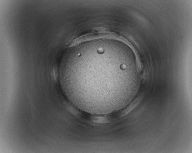 X0000114220285200910161314