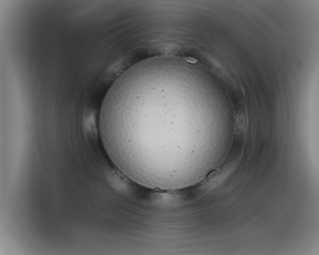 X0000114220286200910161314